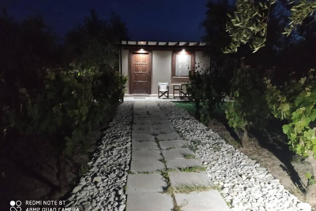 Вілла Raisin House Koukounaria Екстер'єр фото
